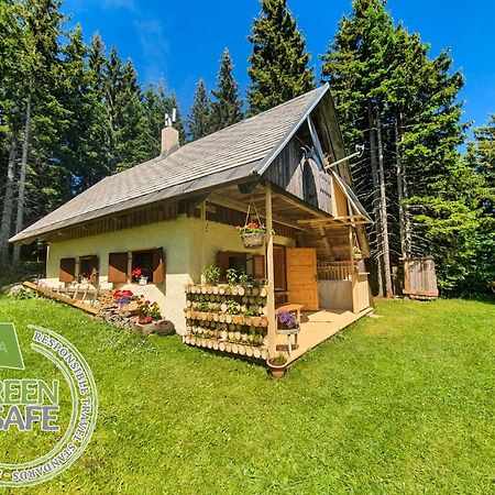 Mountain Eco Chalet Konjska Dolina On 1400 M Asl -Near Pokljuka Srednja Vas v Bohinju المظهر الخارجي الصورة
