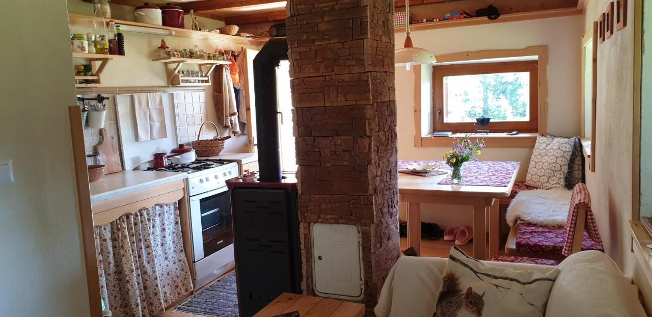 Mountain Eco Chalet Konjska Dolina On 1400 M Asl -Near Pokljuka Srednja Vas v Bohinju المظهر الخارجي الصورة