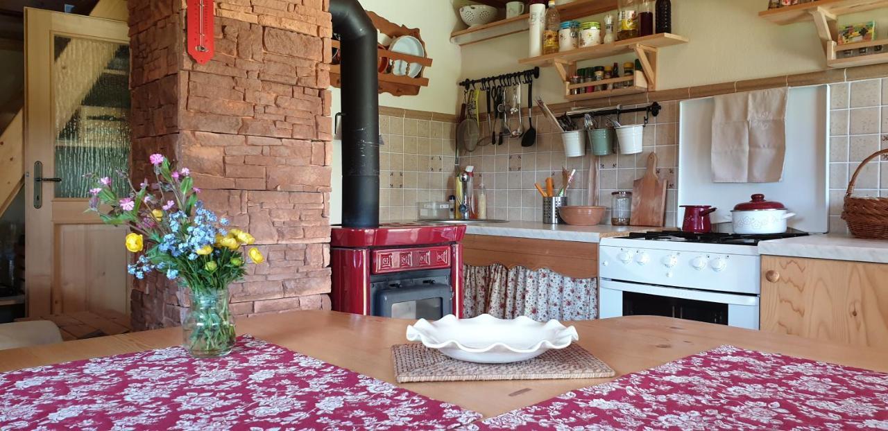 Mountain Eco Chalet Konjska Dolina On 1400 M Asl -Near Pokljuka Srednja Vas v Bohinju المظهر الخارجي الصورة