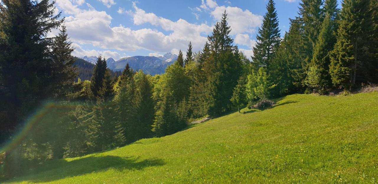Mountain Eco Chalet Konjska Dolina On 1400 M Asl -Near Pokljuka Srednja Vas v Bohinju المظهر الخارجي الصورة