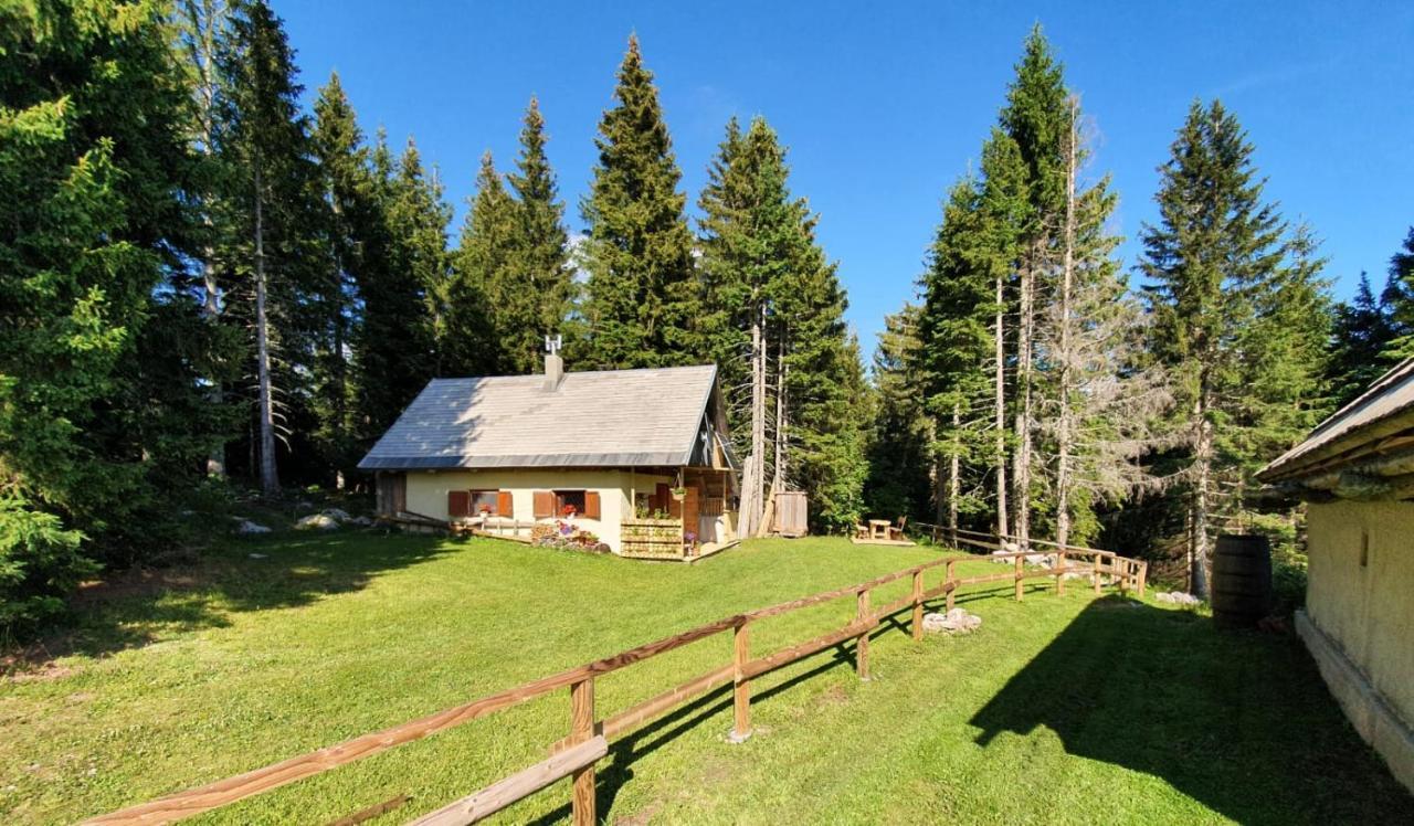 Mountain Eco Chalet Konjska Dolina On 1400 M Asl -Near Pokljuka Srednja Vas v Bohinju المظهر الخارجي الصورة