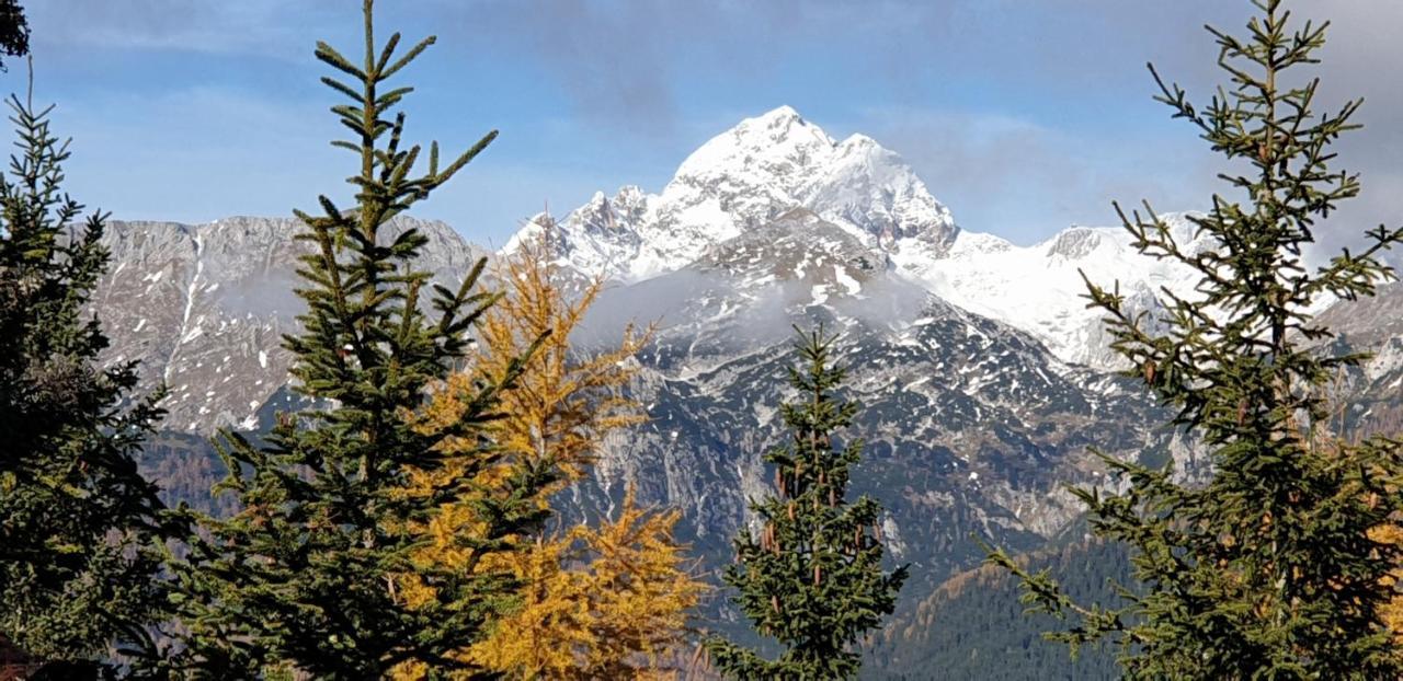 Mountain Eco Chalet Konjska Dolina On 1400 M Asl -Near Pokljuka Srednja Vas v Bohinju المظهر الخارجي الصورة