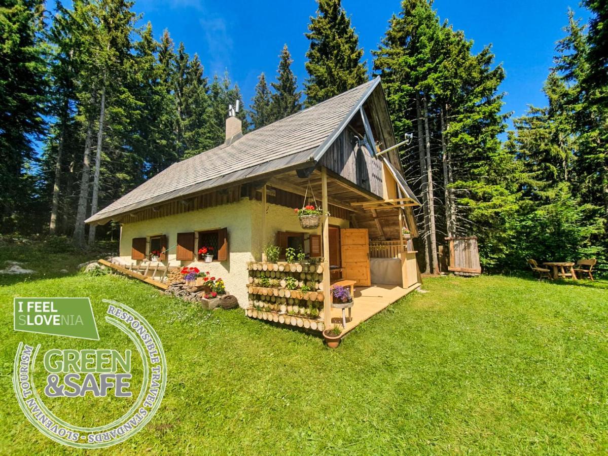 Mountain Eco Chalet Konjska Dolina On 1400 M Asl -Near Pokljuka Srednja Vas v Bohinju المظهر الخارجي الصورة